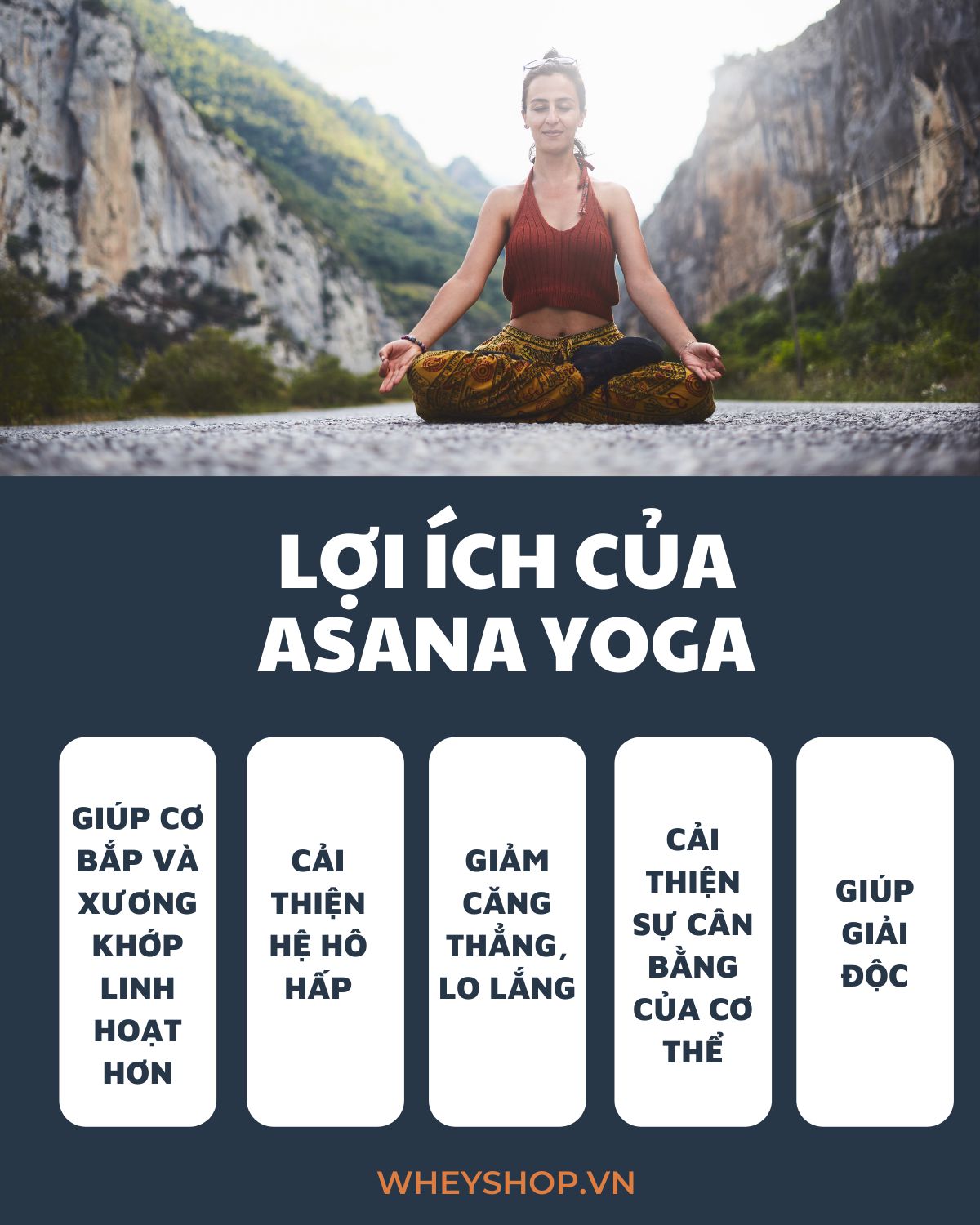 Asana là gì ? Asana Yoga là một bộ phận nhỏ của yoga nhưng nó cũng đóng vai trò quan trọng không kém các loại hình yoga khác. Vậy asana yoga có nghĩa là gì?...