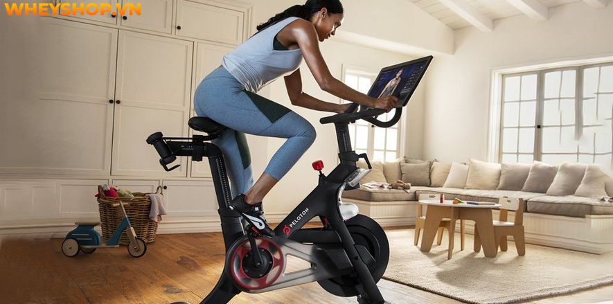 Việc đi xe đạp tập thể dục hàng ngày mang lại không ít lợi ích đối với sức khỏe của con người. Thế nhưng việc chọn mua 1 chiếc xe đạp tập thể dục để luyện...