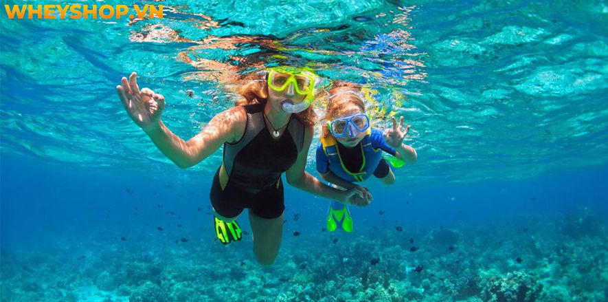 Scuba Diving và Snorkeling đều là hình thức lặn biển không mới lạ nhưng luôn là điều tuyệt vời và khiến cho các du khách tò mò và thích thú mỗi khi đến với...