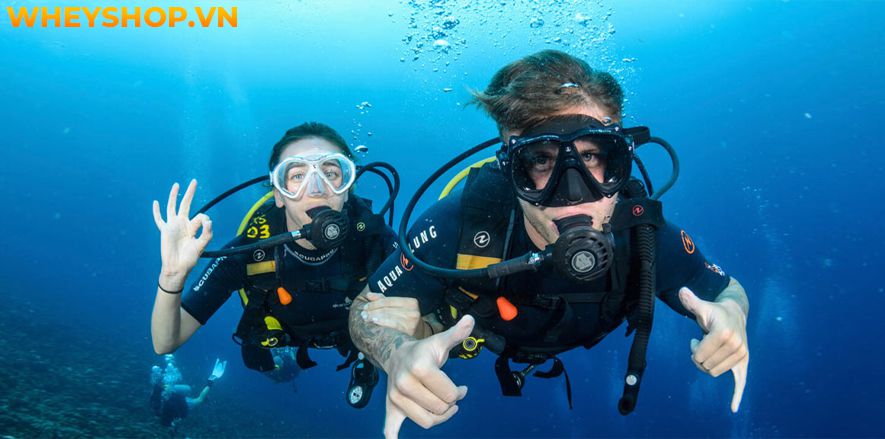 Scuba Diving và Snorkeling đều là hình thức lặn biển không mới lạ nhưng luôn là điều tuyệt vời và khiến cho các du khách tò mò và thích thú mỗi khi đến với...