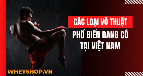 Việt Võ Đạo hay còn gọi là Vovinam, là do võ sư Nguyễn Lộc sáng tạo ra vào năm 1936. Đến nay, môn võ này đã phát triển ở nhiều nơi trên thế giới. Năm 2007...