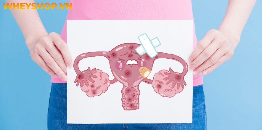Nếu bạn đang băn khoăn lo lắng việc mang thai 4 tuần bị ra máu có sao không thì hãy cùng WheyShop tham khảo chi tiết bài viết...