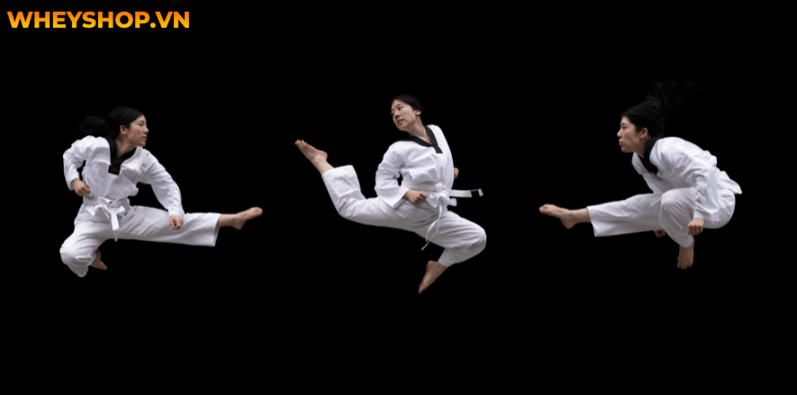 Nếu bạn đang băn khoăn chưa biết học Karate cơ bản như nào thì hãy cùng WheyShop tham khảo chi tiết bài viết này...