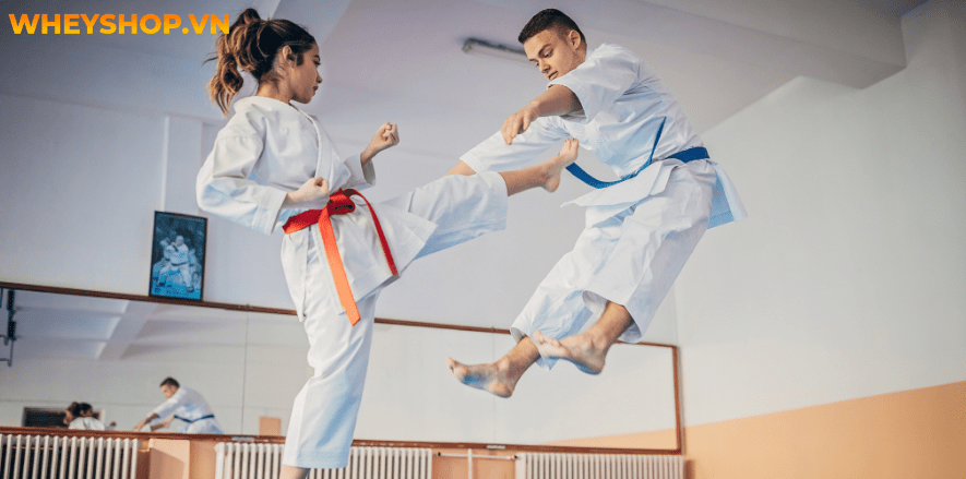 Nếu bạn đang băn khoăn chưa biết học Karate cơ bản như nào thì hãy cùng WheyShop tham khảo chi tiết bài viết này...