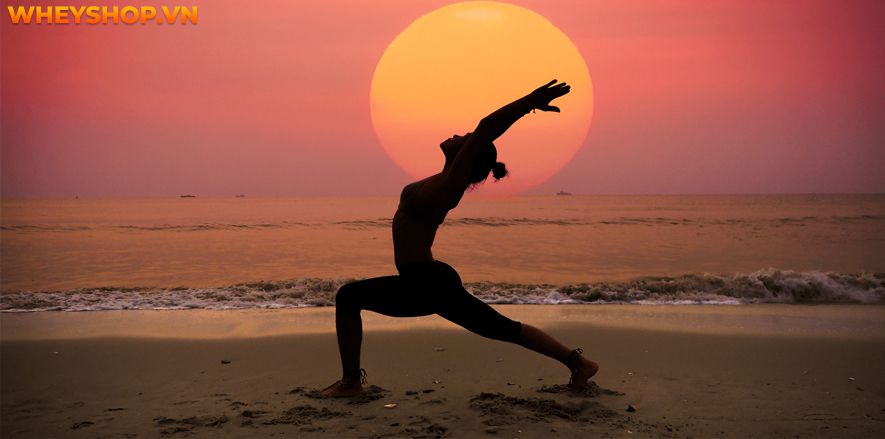 Tập Yoga mang lại vô số lợi ích cho sức khỏe. Vậy trên thực tế, tập Yoga có giảm cân không ? Xin mời các bạn hãy cùng WheyShop tham khảo bài viết dưới đây để...