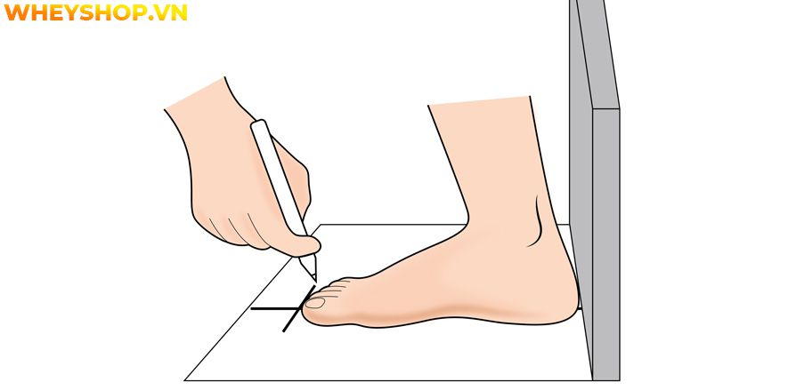 Nếu bạn đang băn khoăn không rõ bảng size chân mình cỡ bao nhiêu thì hãy cùng WheyShop tham khảo cách đo size chân đơn giản qua bài...