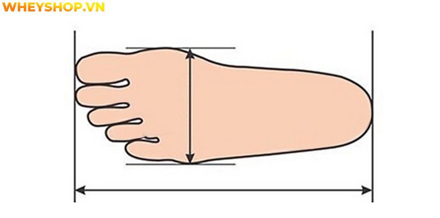 Nếu bạn đang băn khoăn không rõ bảng size chân mình cỡ bao nhiêu thì hãy cùng WheyShop tham khảo cách đo size chân đơn giản qua bài...