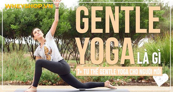 Gentle Yoga là gì? 7+ tư thế Gentle Yoga cho người mới