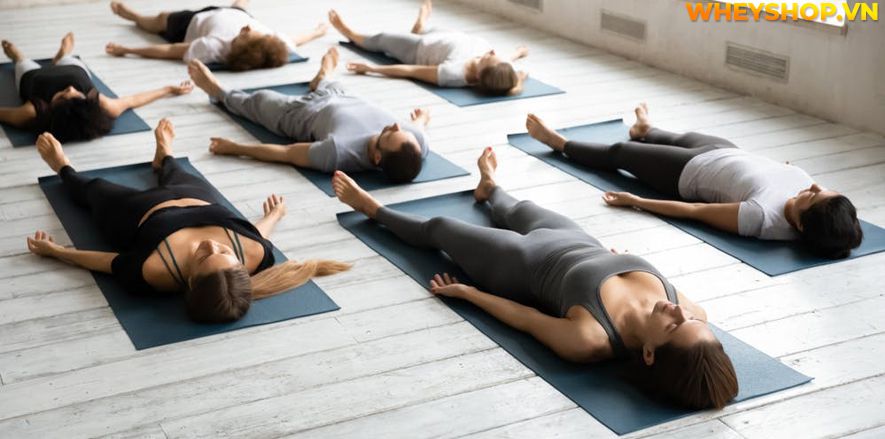 Nếu bạn đang băn khoăn tập Yoga hàng ngày có tốt không thì hãy cùng WheyShop tham khảo chi tiết bài viết ngay sau đây...