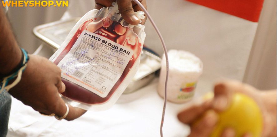 Hiến máu nhân đạo là một trong những việc làm cao cả của cộng đồng. Tuy nhiên rất nhiều người vẫn đang thắc mắc liệu hiến máu có mập lên không ? Bài viết này...