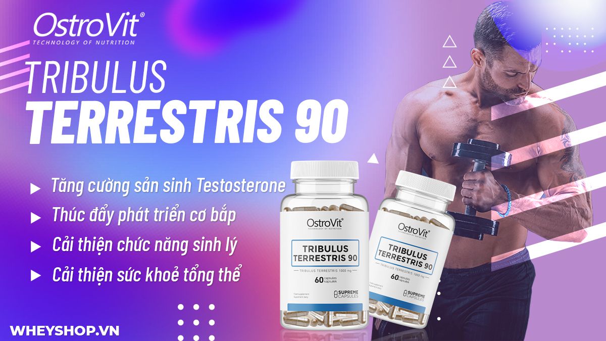 Ostrovit Tribulus hỗ trợ tăng testosterone tự nhiên, cải thiện sinh lý nam. Sản phẩm nhập khẩu, cam kết giá rẻ, tốt nhất tại Hà Nội TpHCM