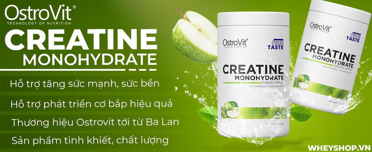 Ostrovit Creatine Monohydrate hỗ trợ cải thiện sức mạnh, sức bền, phục hồi cơ bắp hiệu quả. Sản phẩm nhập khẩu chính hãng, cam kết giá rẻ tốt nhất Hà Nội TpHCM Edit Snippet