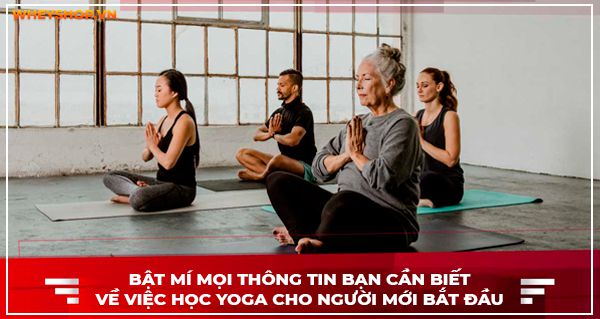 Bật mí mọi thông tin bạn cần biết về việc học Yoga cho người mới bắt đầu