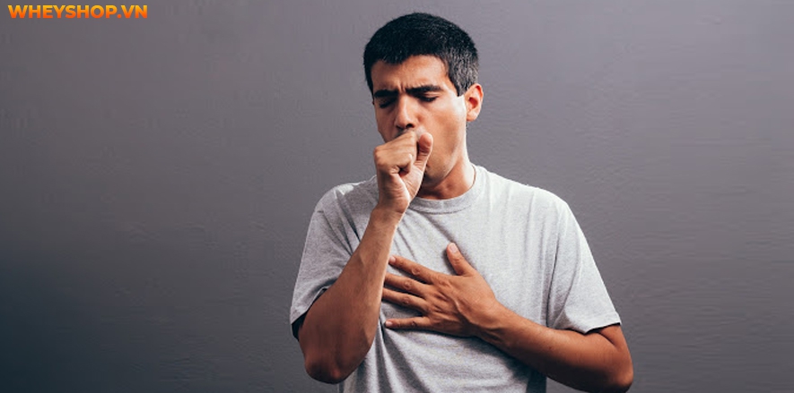 Nếu bạn đang băn khoăn khi bị lao phổi nhưng không ho thì hãy cùng WheyShop tìm hiểu nguyên nhân và giải đáp qua bài viết...