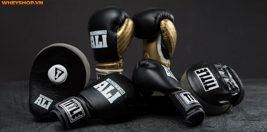 Boxing hay còn gọi là quyền anh, đang dần trở nên phổ biến trên toàn thế giới. Nhiều người chọn học boxing là môn thể thao để nâng cao sức khỏe và khả năng...