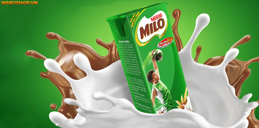 Nếu bạn đang băn khoăn sữa milo dành cho trẻ mấy tuổi thì hãy cùng WheyShop tham khảo giải đáp chi tiết qua bài viết...