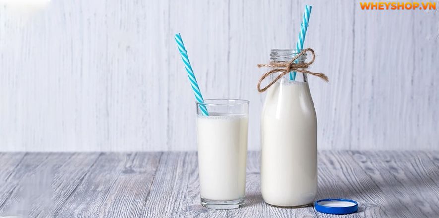 Nếu bạn có kế hoạch giảm cân và giảm lượng calo nạp vào cơ thể, hãy chọn sữa tách béo. Sữa tách béo cũng khá phù hợp với những người mắc bệnh tiểu đường, cao...