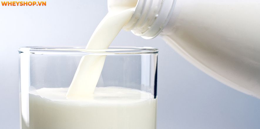 Nếu bạn có kế hoạch giảm cân và giảm lượng calo nạp vào cơ thể, hãy chọn sữa tách béo. Sữa tách béo cũng khá phù hợp với những người mắc bệnh tiểu đường, cao...