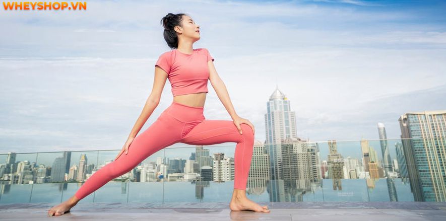 Học yoga đang trở thành xu hướng ngày càng được nhiều chị em ưa chuộng trong xã hội hiện đại ngày nay. Đặc biệt, việc tập luyện yoga còn mang lại nhiều lợi...