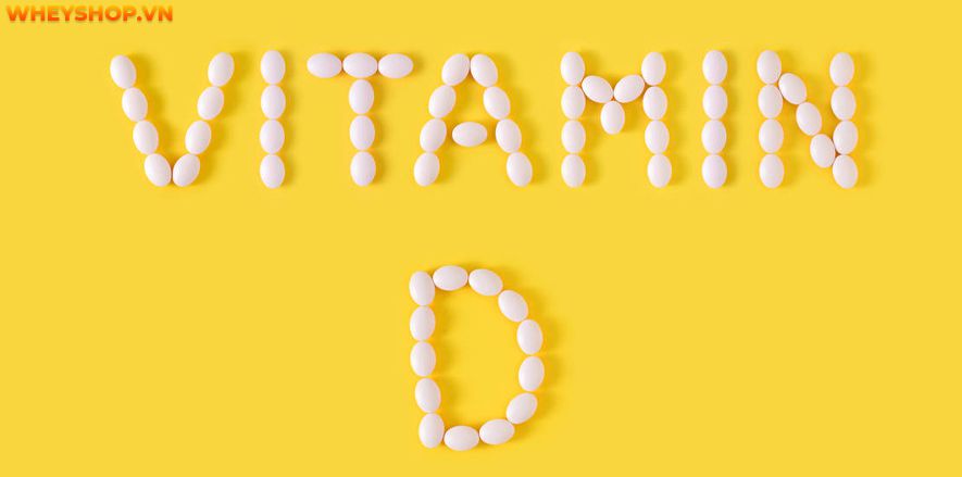 Nếu bạn đang băn khoăn thắc mắc vitamin D có trong trái cây nào thì hãy cùng WheyShop tìm hiểu chi tiết qua bài viết ngay sau đây nhé...