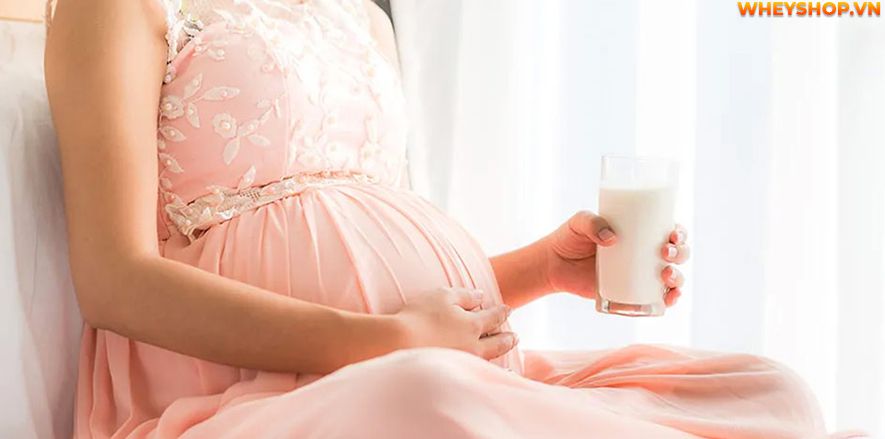 Nếu các mẹ đang băn khoăn dư ối có nên uống sữa tươi không đường thì hãy cùng WheyShop tham khảo giải đáp thắc mắc qua bài viết...
