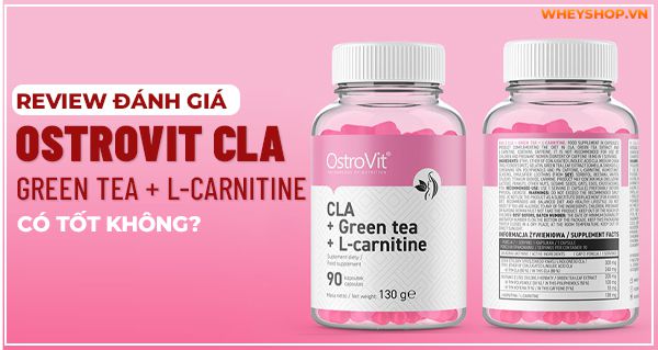 Cùng WheyShop tham khảo review đánh giá Ostrovit CLA + Green tea + L-Carnitine và cách sử dụng hiệu quả qua bài viết...