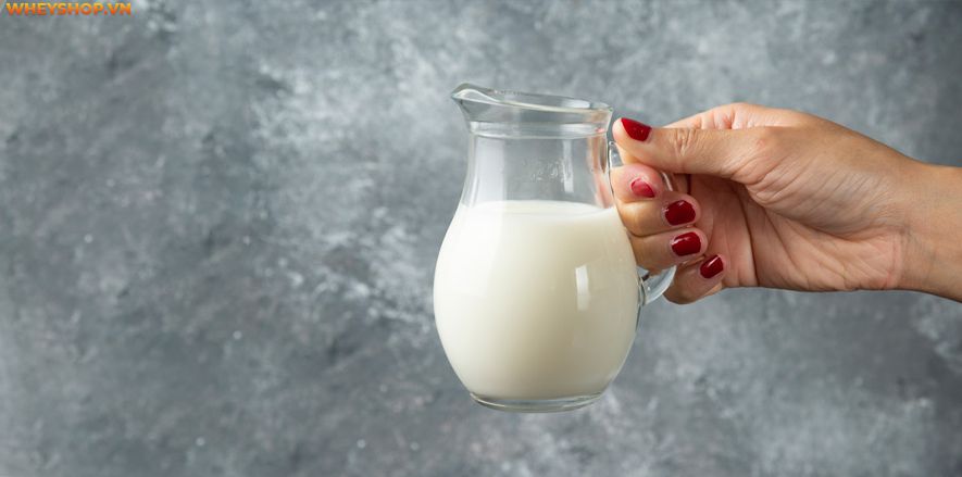 Sữa tươi tách béo là một trong những sản phẩm có nhiều chất dinh dưỡng cần thiết có lợi cho sức khỏe con người. Nếu bạn đang băn khoăn về đối tượng này, bài...