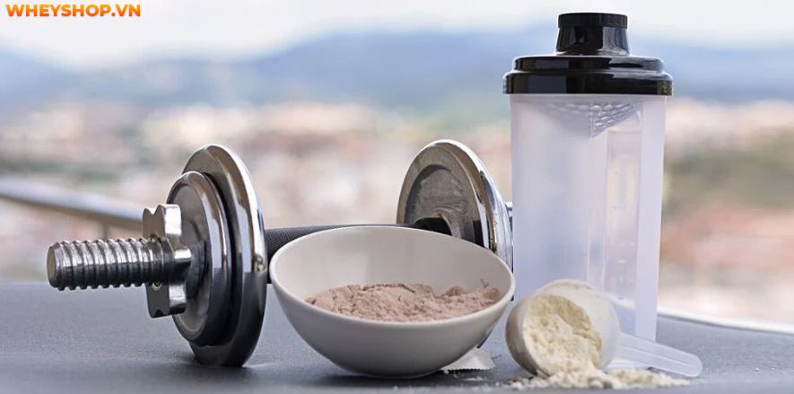 Comparative review of Whey Concentrate and Isolate, which is better?