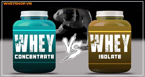 danh gia so sanh whey concentrate va isolate 4