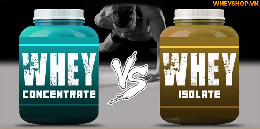 Review compared Compare Whey Concentrate and Isolate, which is better?