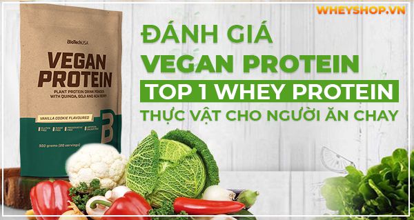 Whey Protein thực vật là giải pháp bổ sung protein cho người ăn chay hoặc không muốn sử dụng nguồn protein động vật, sữa bò. Vậy Whey Protein thực vật là gì?...