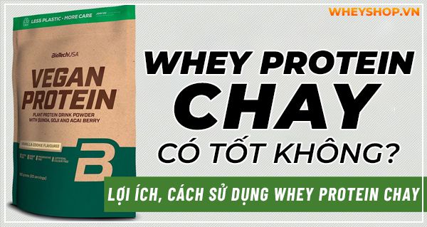 Nếu bạn đang băn khoăn tìm hiểu không rõ Whey Protein chay có tốt không, có nên sử dụng Whey Protein chay không thì hãy cùng tham khảo bài viết...