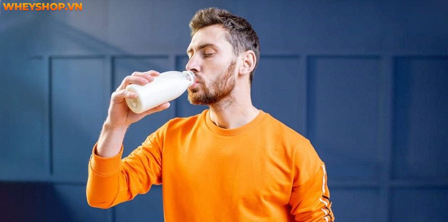 Cùng WheyShop tìm hiểu ngay 10 loại sữa tăng cân cho người đau dạ dày hiệu quả nhất hiện nay, giúp bạn tăng cân dễ dàng, hiệu quả...