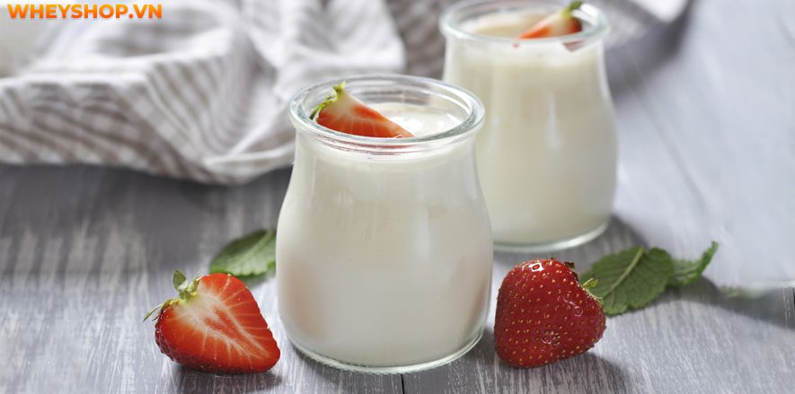 Cùng WheyShop tìm hiểu ngay 10 loại sữa tăng cân cho người đau dạ dày hiệu quả nhất hiện nay, giúp bạn tăng cân dễ dàng, hiệu quả...