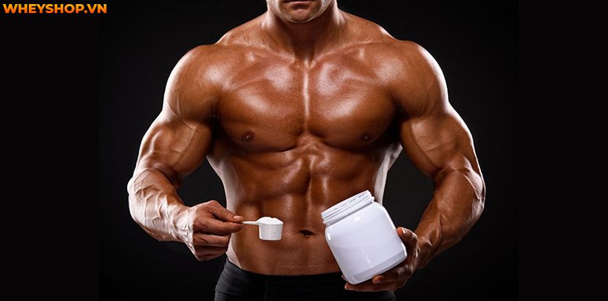 Creatine What is HCL?Compare Creatine HCL and Creatine Monohydrate?