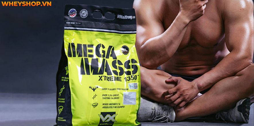Type Is the price of Mega Mass Xtreme 1350 good? How much is it?></p>
<h3><b>1.2 Nutrition facts</b></h3>
<p>In each serving Mega Mass provides the following specific nutritional ingredients:</p>
<ul>
<li>1350 calories</li>
<li>70g protein</li>
<li>20g sugar</li>
<li>19 types of vitamins and minerals needed by the body</li>
<li>Enzyme for digestion</li>
<li>Contains no Transfat, safe for users.</li>
</ul>
<p>Mega Mass Xtreme 1350 is a nutritional supplement that fully combines a clean starch source, a pure protein source, essential vitamins and an abundant energy source with 1350 calories for effective weight gain.</p>
<p>In addition, the product also provides users with 70g of protein, this protein source comes from Whey Hydrolyzed, Whey Isol types.ate and Whey Concentrate, help users regenerate muscle quickly, while indirectly minimizing catabolism, the process of destruction and loss of muscle cells.</p>
<p>The highlight of this product is the addition of oats and GlucoPush.GlucoPush technology promotes faster absorption of nutrients including Protein and Carbohydrates.This is a significant improvement from the manufacturer to assist those who have difficulty digesting and metabolizing nutrients.</p>
<p>Mega Mass Pro is also a combination of more than 19 essential vitamins and mineralst weak, helps the body always stabilize and maintain at a moderate to high level.The manufacturer also calculates very carefully so that it can be easier to dissolve the powder than just using a mixing spoon or a shaker.</p>
<p><img src=