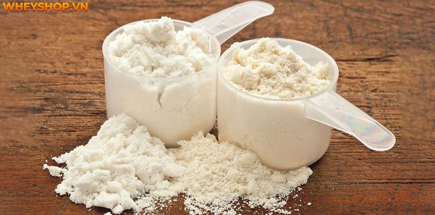 Casein Protein hỗ trợ phục hồi và nuôi dưỡng cơ bắp 8 tiếng. Vậy bạn đã biết đâu là sữa Casein tốt nhất chưa? Cùng WheyShop điểm mặt top 7 sữa Casein Protein...