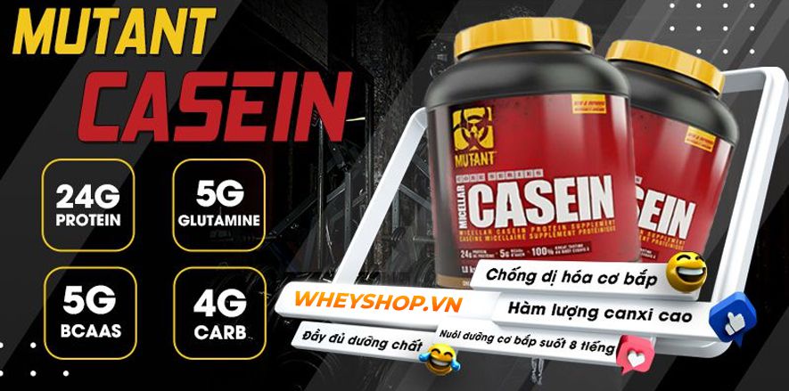 Casein Protein hỗ trợ phục hồi và nuôi dưỡng cơ bắp 8 tiếng. Vậy bạn đã biết đâu là sữa Casein tốt nhất chưa? Cùng WheyShop điểm mặt top 7 sữa Casein Protein...