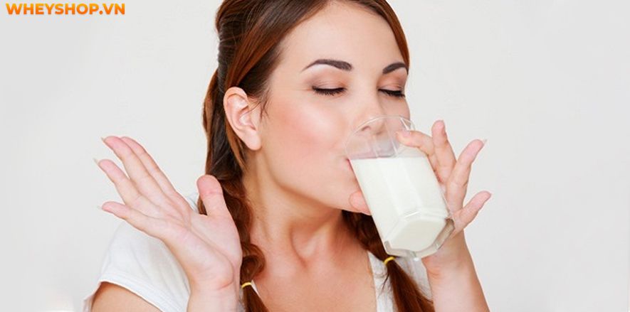  Sữa tươi không đường bao nhiêu calo? Sữa không đường Vinamilk bao nhiêu calo?