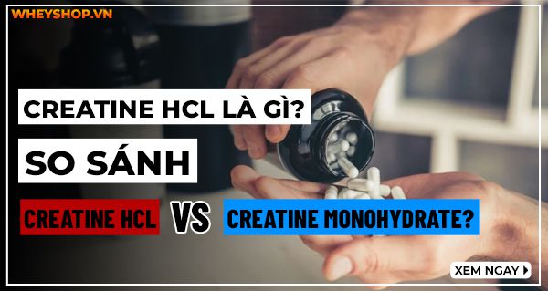 Nếu bạn đang băn khoăn tìm hiểu về Creatine HCL là gì thì hãy cùng WheyShop tham khảo bài viết so sánh đánh giá Creatine HCL và Creatine Monohydrate qua bài viết...