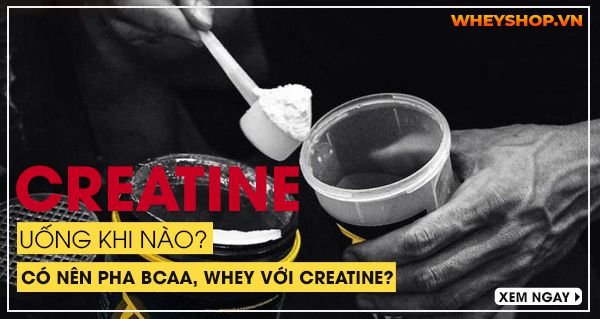 Nếu bạn đang băn khoăn không rõ Creatine uống khi nào và nên pha BCAA, Whey Protein với Creatine hay không thì hãy cùng WheyShop tham khảo bài viết...