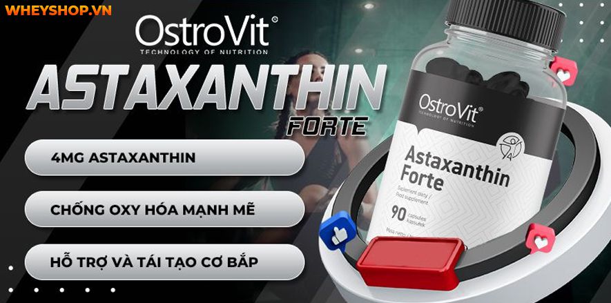 Nếu bạn đang băn khoăn lựa chọn sản phẩm Astaxanthin thì hãy cùng WheyShop review đánh giá đánh giá OstroVit Astaxanthin FORTE có tốt không qua bài viết...