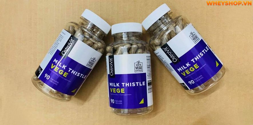 Nếu bạn đang phân vân về sản phẩm Ostrovit Milk Thistle thì hãy cùng WheyShop review đánh giá Ostrovit Milk Thistle có tốt không qua bài viết...