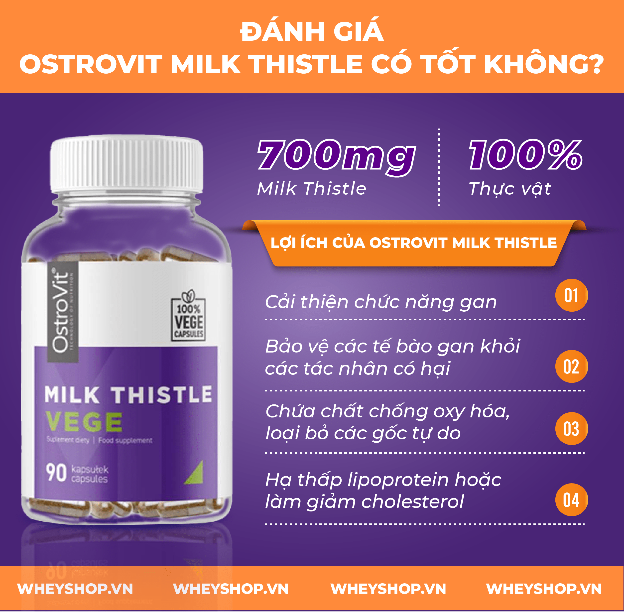 Nếu bạn đang phân vân về sản phẩm Ostrovit Milk Thistle thì hãy cùng WheyShop review đánh giá Ostrovit Milk Thistle có tốt không qua bài viết...