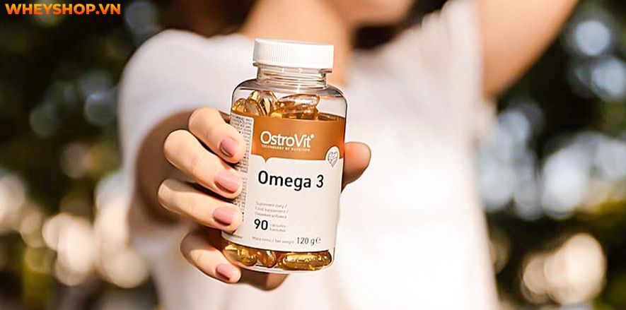 Nếu bạn đang phân vân lựa chọn Ostrovit Omega 3 thì hãy cùng WheyShop review đánh giá Ostrovit Omega 3 có tốt không qua bài viết sau đây..