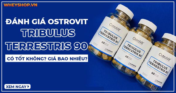 Đánh giá Ostrovit Tribulus Terrestris có tốt không? Giá bao nhiêu?