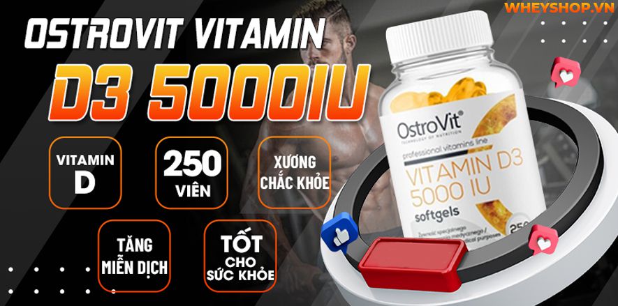 Nếu bạn đang phân vân khi lựa chọn Ostrovit Vitamin D3 5000Iu thì hãy cùng WheyShop review đánh giá Ostrovit Vitamin D3 5000IU có tốt không qua bài viết...