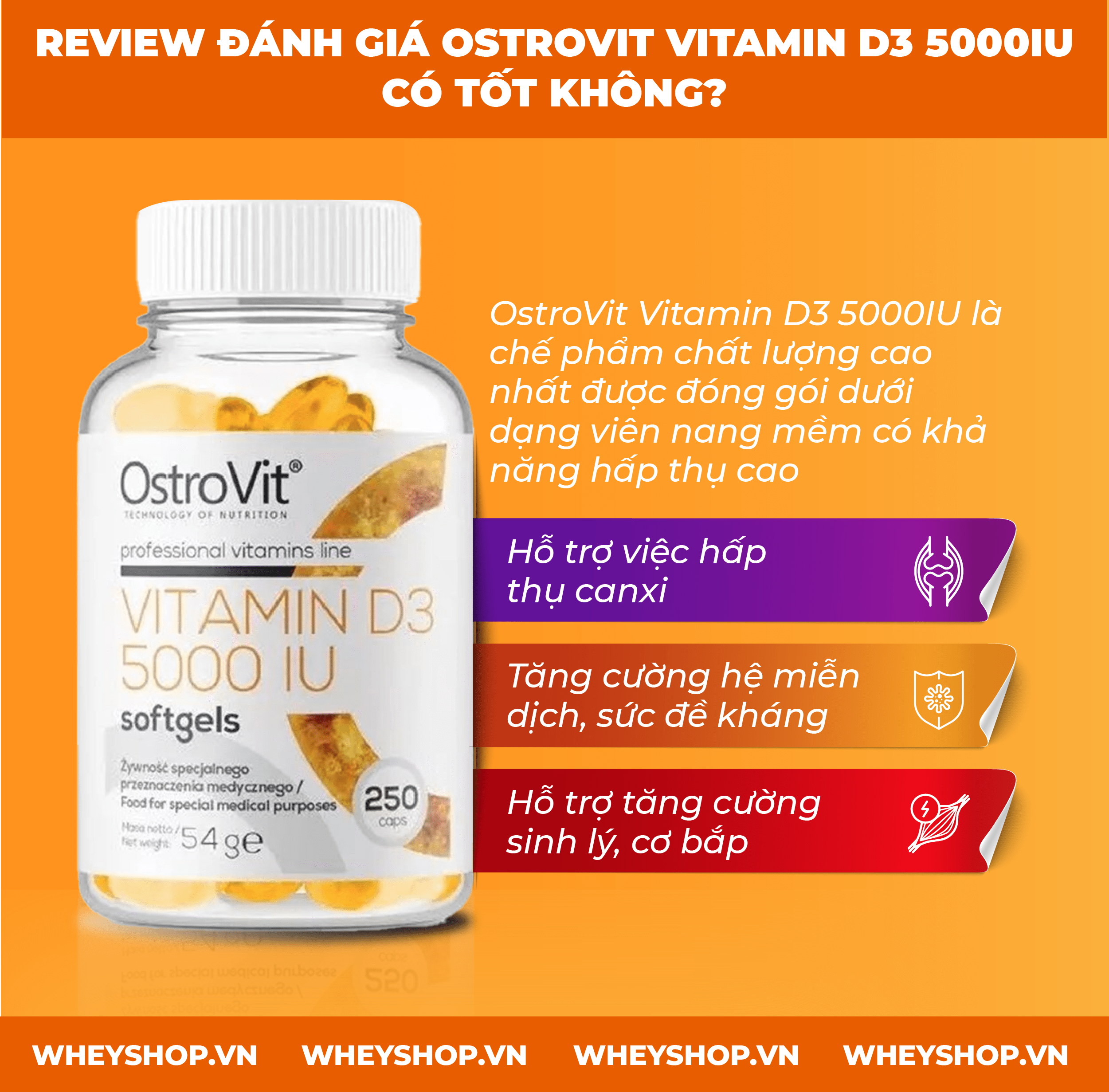 Nếu bạn đang phân vân khi lựa chọn Ostrovit Vitamin D3 5000Iu thì hãy cùng WheyShop review đánh giá Ostrovit Vitamin D3 5000IU có tốt không qua bài viết...