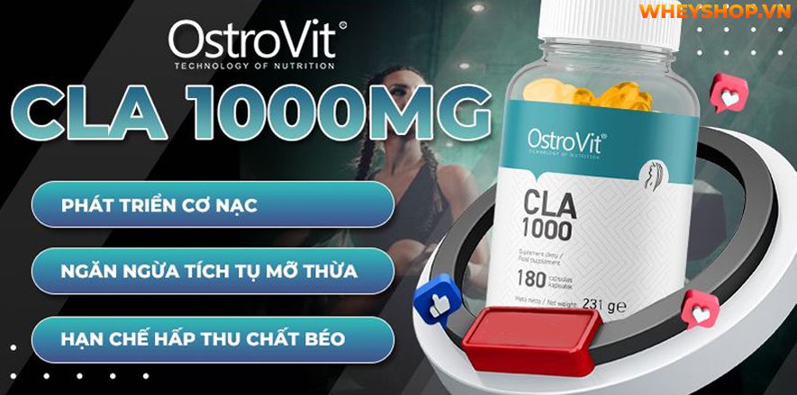 Nếu bạn đang phân vân đánh giá Ostrovit CLA 1000mg có tốt không thì hãy cùng WheyShop review đánh giá sản phẩm qua bài viết...
