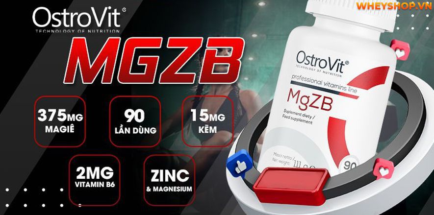 Nếu bạn đang tìm hiểu về sản phẩm Ostrovit MgZb thì hãy cung WheyShop review đánh giá Ostrovit MgZB có tốt không qua bài viết ngay nhé...